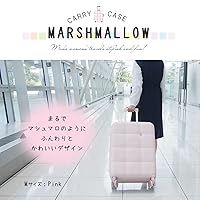 専用❤️MOIERG♡⃛モアエルグ キャリースーツケース トランクケース 旅行バッグ スーツケース・キャリーケース・キャリーバッグ｜機内持ち込み